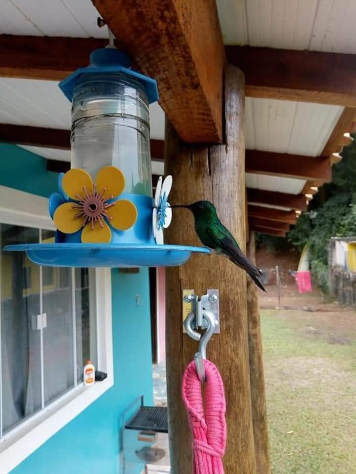 Chale Canto Do Galo Ilhabela Exterior foto